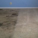 3 Things To Do If Your Carpet Has Water Damage