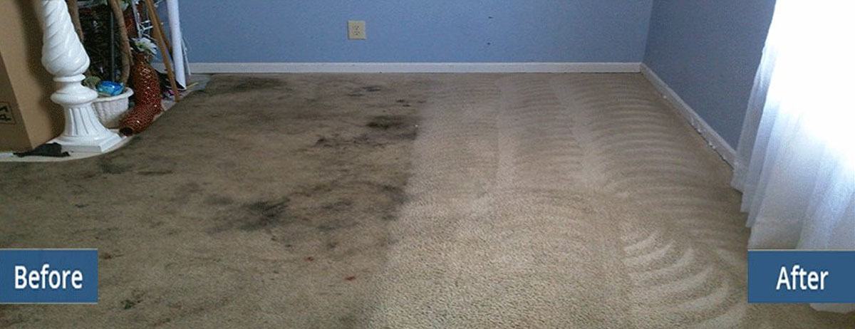 3 Things To Do If Your Carpet Has Water Damage