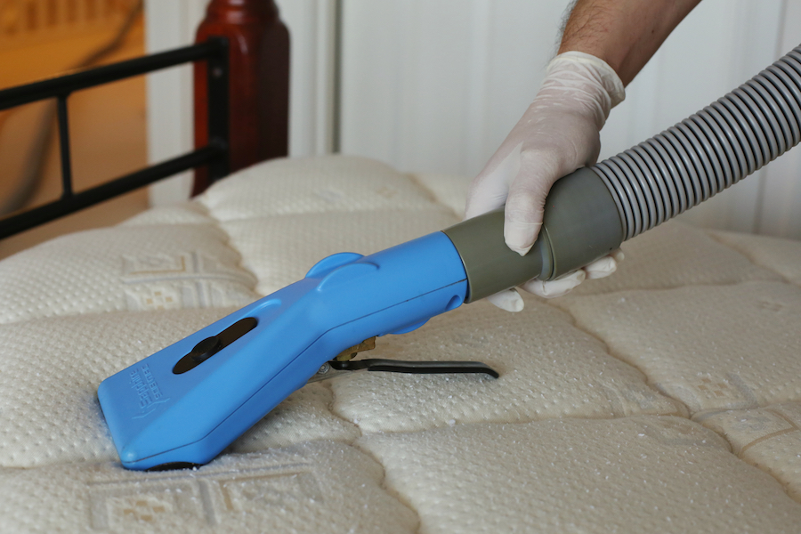 Dust Mite Mattress Cleaning & Treatment