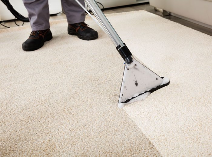 carpet steam cleaning