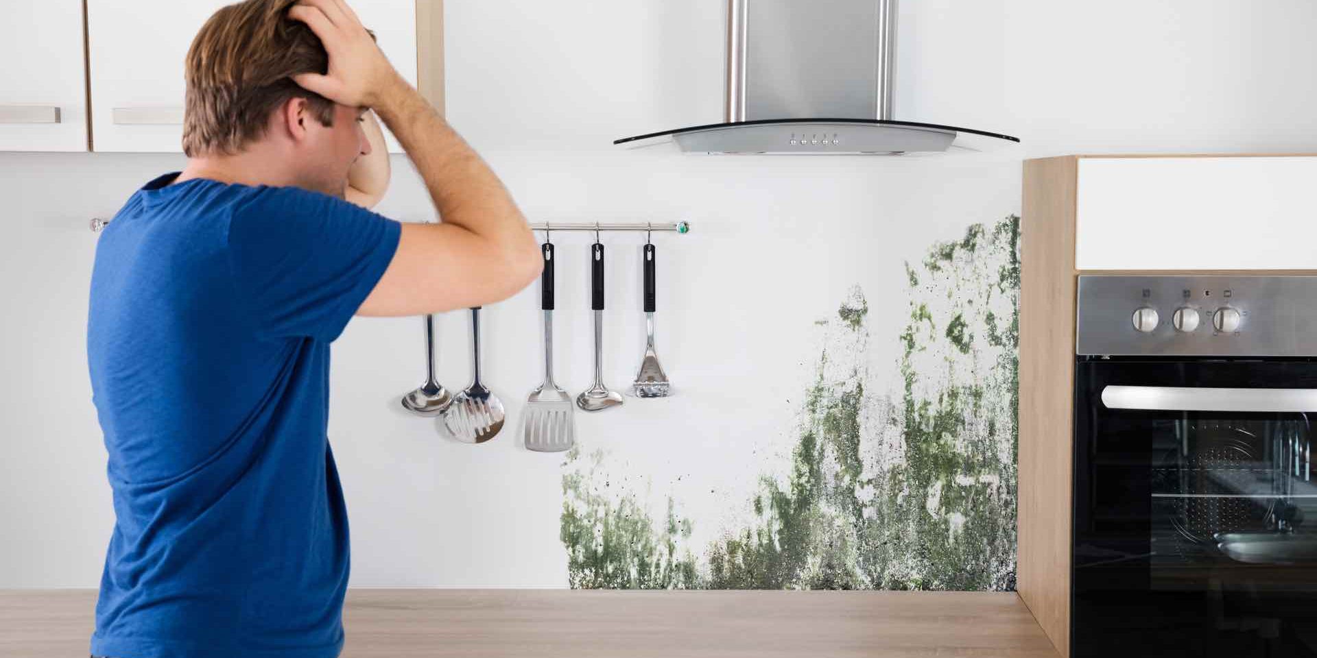 mould removal sydney