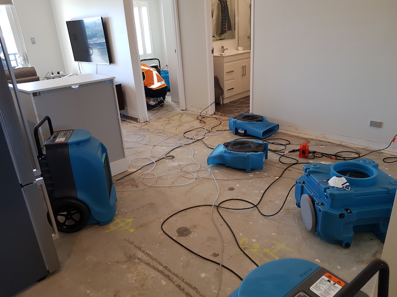 water damaged carpet cleaning