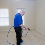 Carpet cleaning professional vs doing yourself