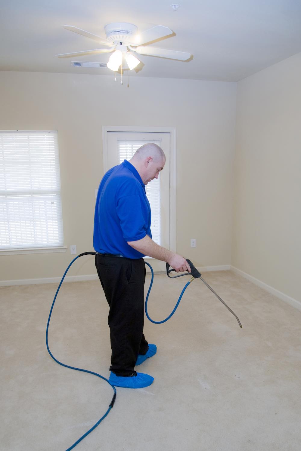 Carpet cleaning professional vs doing yourself