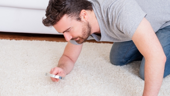 what germs live in your carpets