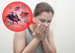 Anti Allergen Treatments For Dust Mite Reaction