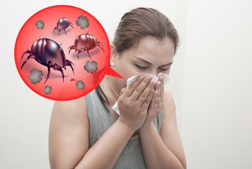 Anti Allergen Treatments For Dust Mite Reaction