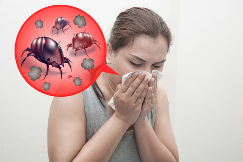 Anti Allergen Treatments For Dust Mite Reaction
